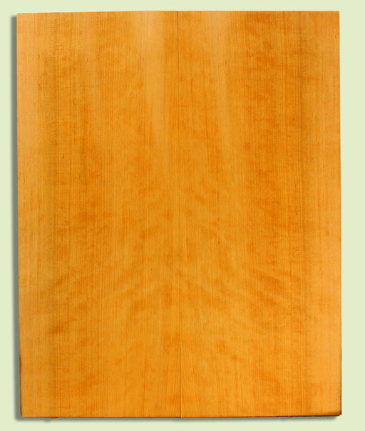 Port Orford Cedar Soundboard, Dreadnought, Fine Grain,  2 panels, each 0.18" x 9.375" x 23.5" S2S  