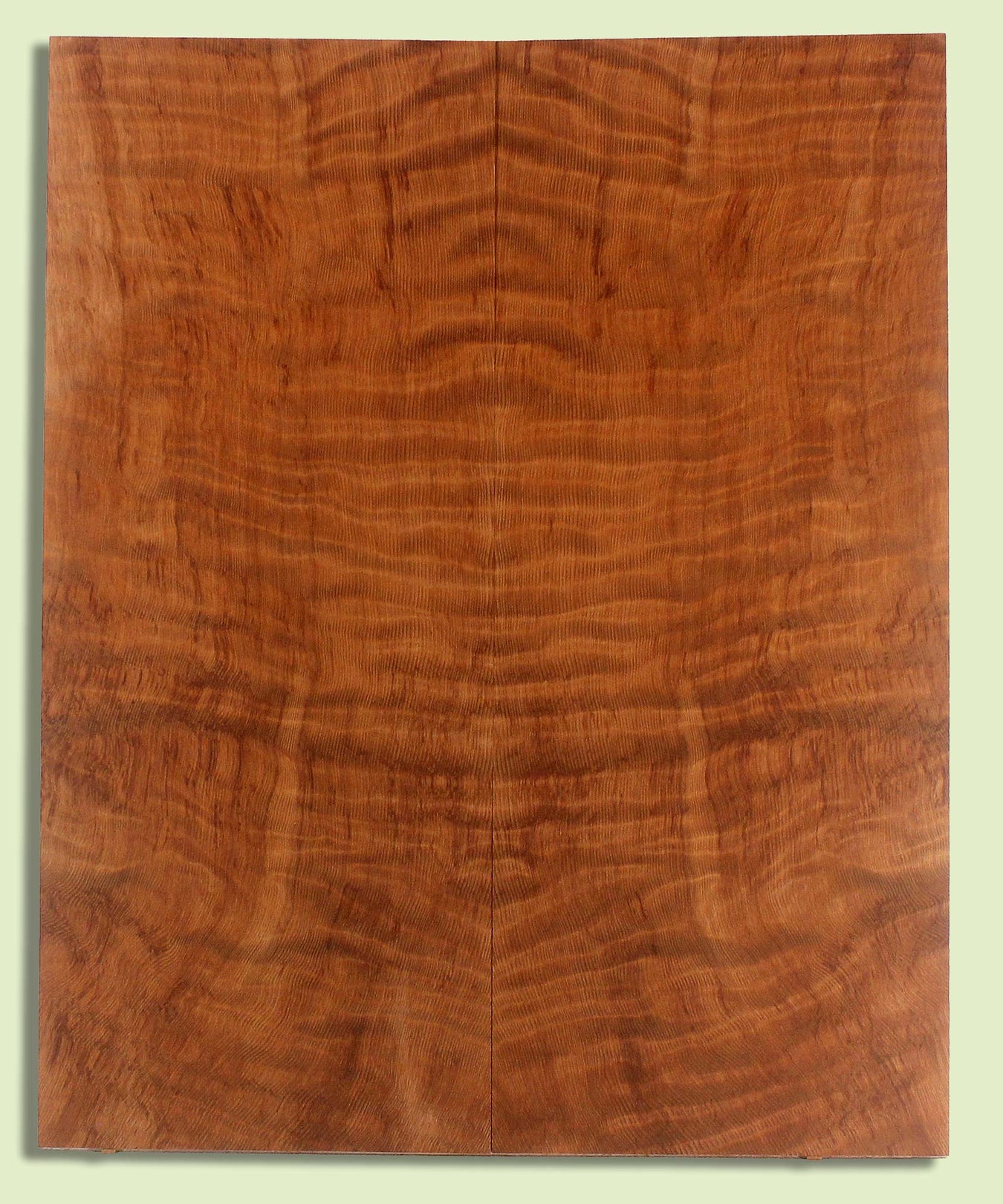 Acoustic Guitar Tonewood