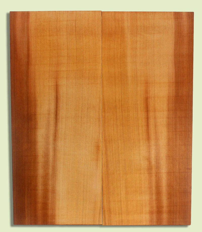 Western Redcedar Archtop Guitar Top, Dread Plus size, 2 panels, each  0.80" x 9.75" x 23.125"