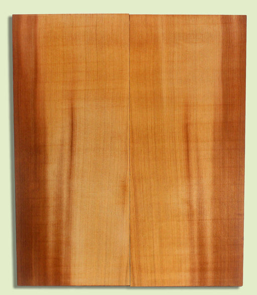 Western Redcedar Archtop Guitar Top, Dread Plus size, 2 panels, each  0.80" x 9.75" x 23.125"