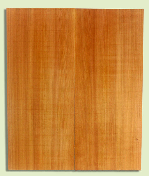 Western Redcedar Archtop Guitar Top, Dread Plus size, 2 panels, each  0.80" x 9.75" x 23.5"  
