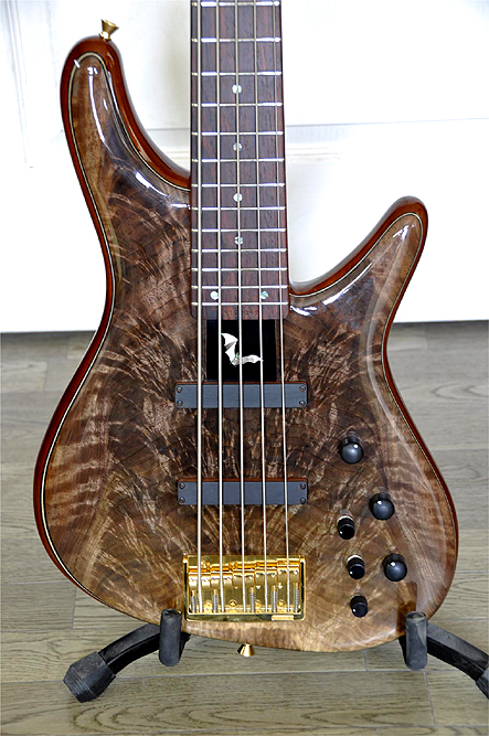 Sugi features Guitar Woods from OregonWildwood.com