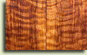 Curly Redwood Top Sets