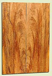 MGES17841 - Mango, Solid Body Guitar or Bass Drop Top Set, Air Dried, Good Color & Contrast, Outstanding Guitar Wood, Salvaged from the Big Island of Hawaii, 2 panels each 0.22" x 7.25" x 22", S2S