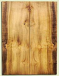 MYES18138 - Myrtlewood, Solid Body Guitar or Bass Drop Top Set, Salvaged Old Growth, Very Good Colors and Pattern, Bark Inclusions, Premium Guitar Wood, 2 panels each 0.26" x 7.87" x 21.25", S2S