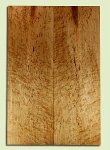 MAES31694 - Rock Maple, Solid Body Guitar or Bass Fat Drop Top Set, Med. to Fine Grain, Excellent Color & Curl, Exquisite Luthier Tonewood, 2 panels each 0.39" x 7.75" x 23", S2S