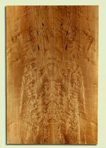 MAES31696 - Rock Maple, Solid Body Guitar or Bass Fat Drop Top Set, Med. to Fine Grain, Excellent Color & Curl, Exquisite Luthier Tonewood, 2 panels each 0.4" x 7.75" x 23", S2S