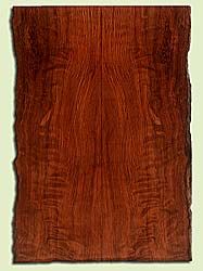 RWES34285 - Curly Redwood, Solid Body Guitar Drop Top Set, Med. to Fine Grain Salvaged Old Growth, Excellent Color & Curl, Exquisite Guitar Wood, 2 panels each 0.25" x 7" x 21.625", S2S