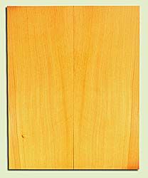 DFSB34540 - Douglas Fir, Acoustic Guitar Soundboard, Dreadnought Size, Fine Grain Salvaged Old Growth, Excellent Color, Highly Resonant Luthier Wood, 2 panels each 0.8" x 9.375" x 23.25", S2S
