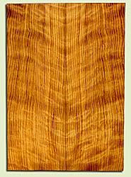 CDSB43164 - Port Orford Cedar, Acoustic Guitar Soundboard, Classical Size, Med. to Fine Grain Salvaged Old Growth, Excellent Color & Figure, Highly Resonant Guitar Wood, 2 panels each 0.17" x 7.75" x 23.25", S2S