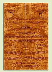 DFES43752 - Douglas Fir, Solid Body Guitar Drop Top Set, Med. Grain Salvaged Old Growth, Excellent Color & Contrast, Exquisite Guitar Wood, Note: There are checks in this set, 2 panels each 0.27" x 7.75" x 23.25", S2S