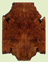 MAES43965 - Western Big Leaf Maple, Solid Body Guitar Fat Drop Top Set, Med. to Fine Grain, Excellent Color, Outstanding Guitar Wood, Note:  This set has bark inclusions., 2 panels each 0.35" x 2 1/2 to 8 5/8" x 23.25", S2S
