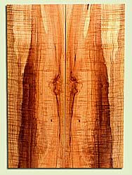 MAES45363 - Western Big Leaf Maple, Solid Body Guitar Drop Top Set, Med. to Fine Grain, Excellent Color, Traditional Guitar Wood, 2 panels each 0.24" x 8.375" x 23.5", S2S