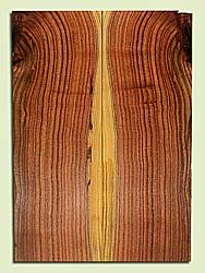 PIES45631 - Pistachio, Solid Body Guitar Fat Drop Top Set, Med. to Fine Grain, Excellent Colors, Eco-Friendly Guitar Wood, Note: There are checks in this piece., 2 panels each 0.37" x 7" x 19.75", S2S